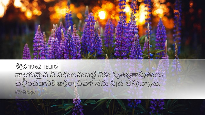 కీర్తన 119:62 TELIRV Bible Verse Image
