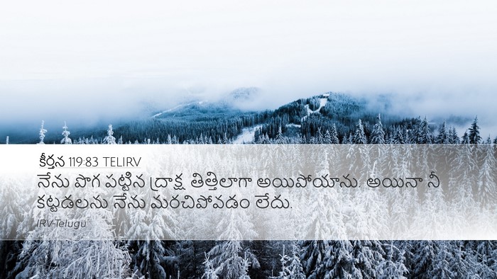 కీర్తన 119:83 TELIRV Bible Verse Image