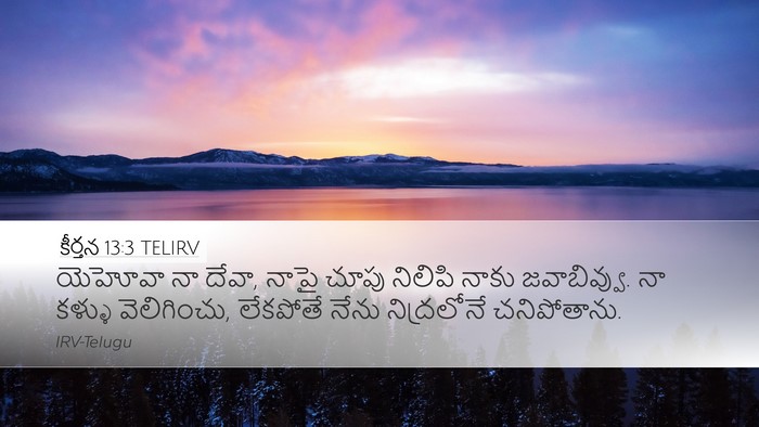 కీర్తన 13:3 TELIRV Bible Verse Image