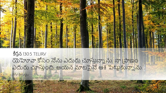 కీర్తన 130:5 TELIRV Bible Verse Image
