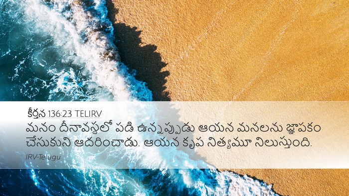 కీర్తన 136:23 TELIRV Bible Verse Image