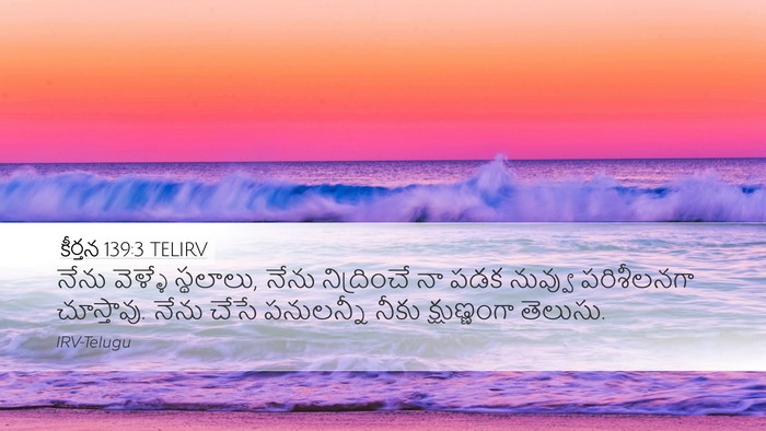 కీర్తన 139:3 TELIRV Desktop Wallpaper - నేను వెళ్ళే - Desktop Bible Verse Wallpaper