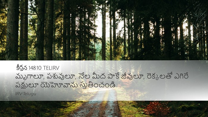 కీర్తన 148:10 TELIRV Bible Verse Image
