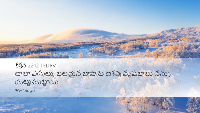 కీర్తన 22:12 TELIRV Bible Verse Image