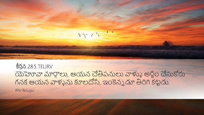 కీర్తన 28:5 TELIRV Desktop Wallpaper - యెహోవా మార్గాలు, - Desktop Bible Verse Wallpaper