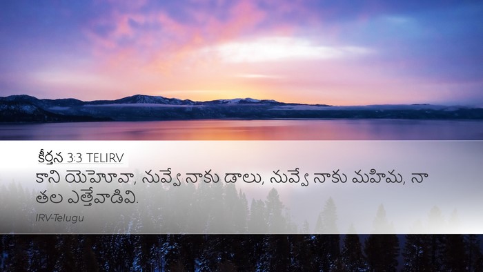 కీర్తన 3:3 TELIRV Bible Verse Image