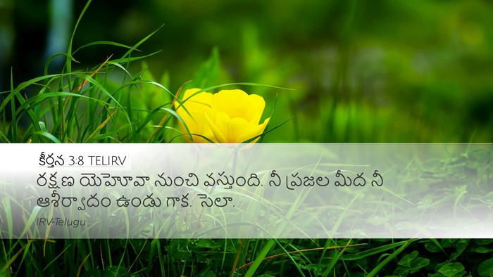 కీర్తన 3:8 TELIRV Desktop Wallpaper - రక్షణ యెహోవా - Desktop Bible Verse Wallpaper