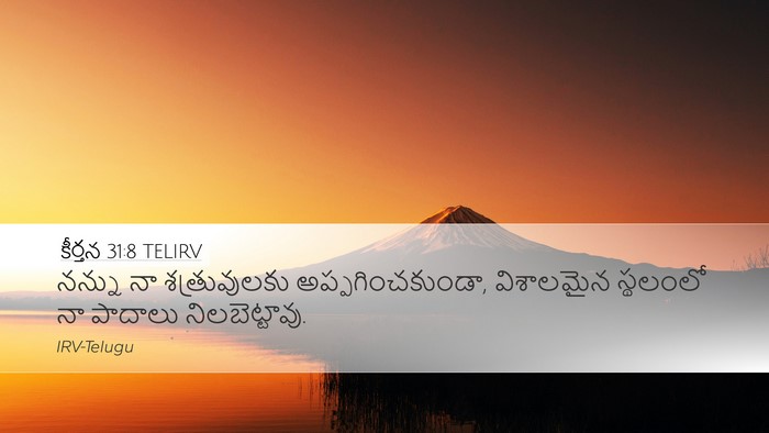 కీర్తన 31:8 TELIRV Bible Verse Image