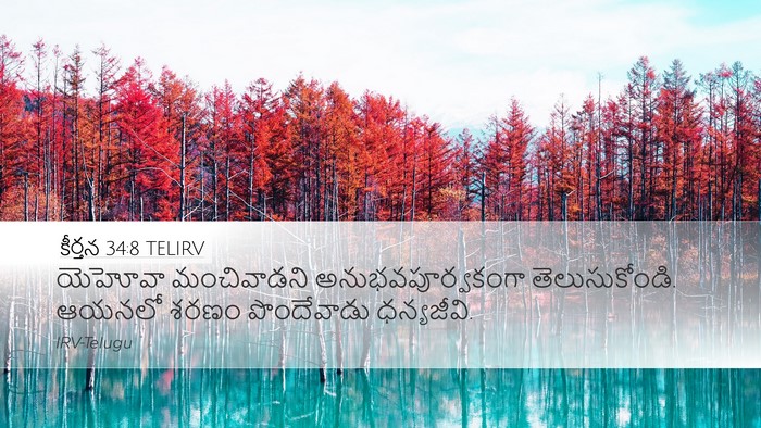 కీర్తన 34:8 TELIRV Bible Verse Image