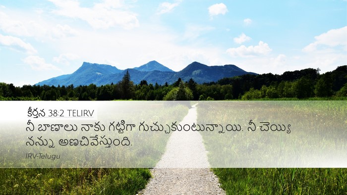 కీర్తన 38:2 TELIRV Desktop Wallpaper - నీ బాణాలు నాకు - Desktop Bible Verse Wallpaper