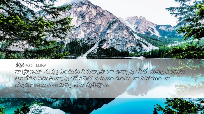 కీర్తన 43:5 TELIRV Bible Verse Image