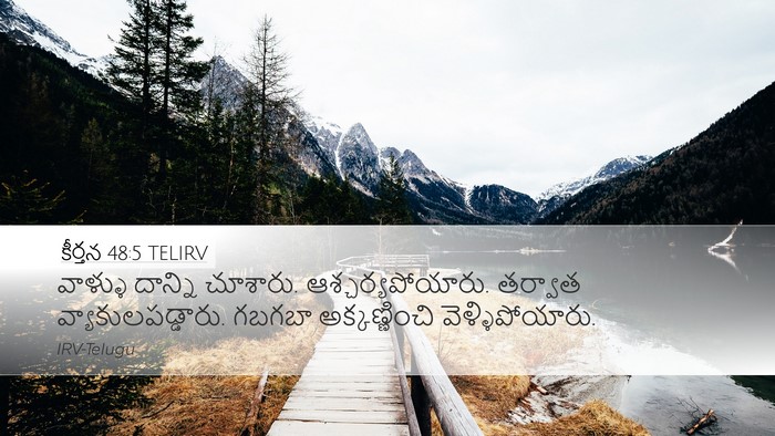 కీర్తన 48:5 TELIRV Bible Verse Image