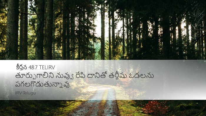 కీర్తన 48:7 TELIRV Desktop Wallpaper - తూర్పుగాలిని - Desktop Bible Verse Wallpaper