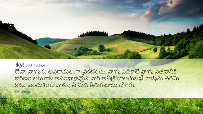 కీర్తన 5:10 TELIRV Desktop Wallpaper - దేవా, వాళ్ళను - Desktop Bible Verse Wallpaper