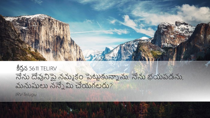 కీర్తన 56:11 TELIRV Bible Verse Image