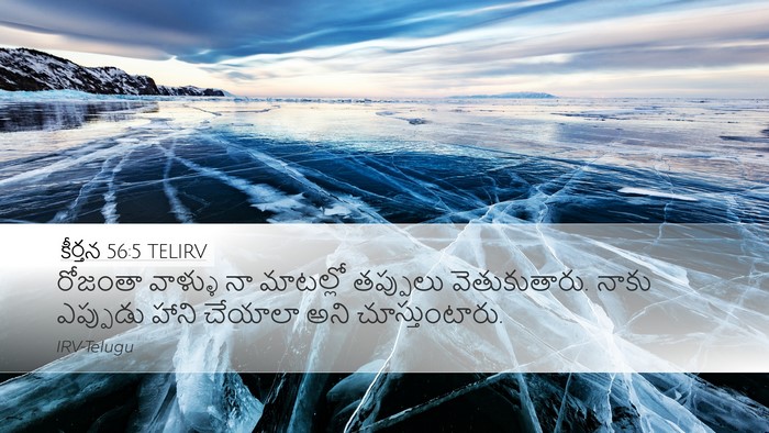 కీర్తన 56:5 TELIRV Bible Verse Image