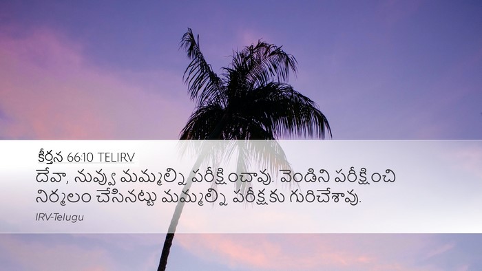 కీర్తన 66:10 TELIRV Bible Verse Image