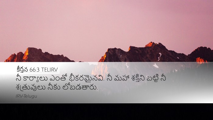 కీర్తన 66:3 TELIRV Bible Verse Image