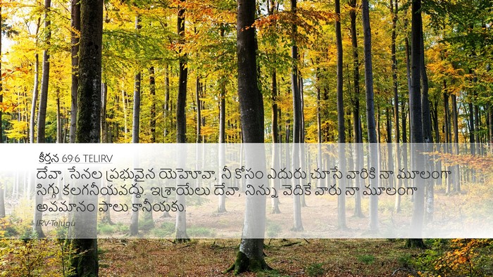 కీర్తన 69:6 TELIRV Desktop Wallpaper - దేవా, సేనల - Desktop Bible Verse Wallpaper