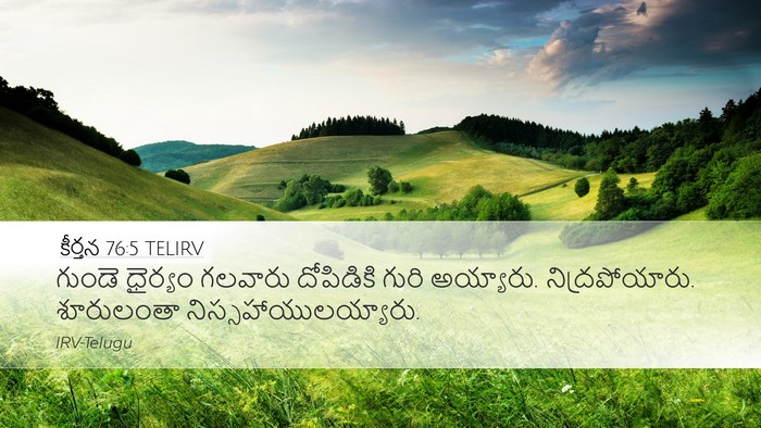 కీర్తన 76:5 TELIRV Bible Verse Image