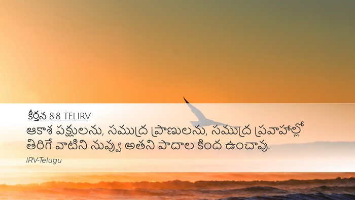 కీర్తన 8:8 TELIRV Bible Verse Image