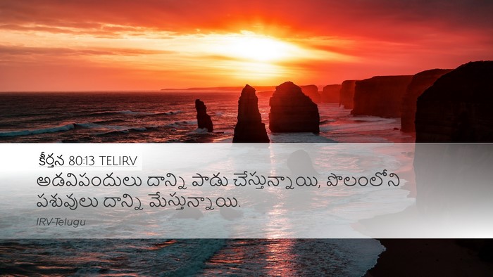కీర్తన 80:13 TELIRV Desktop Wallpaper - అడవిపందులు దాన్ని - Desktop Bible Verse Wallpaper