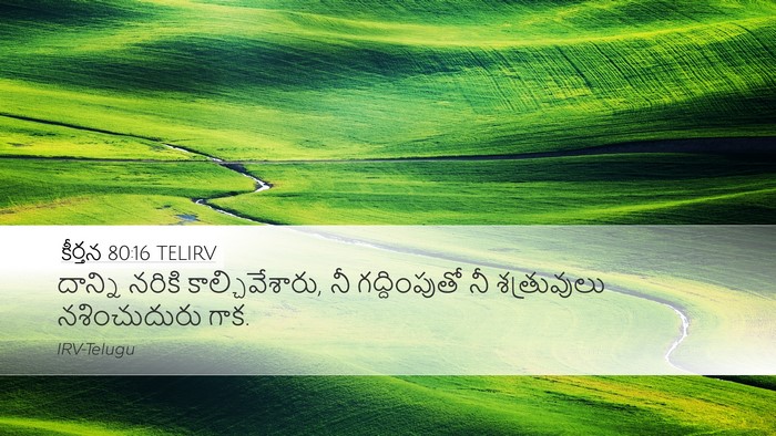 కీర్తన 80:16 TELIRV Bible Verse Image