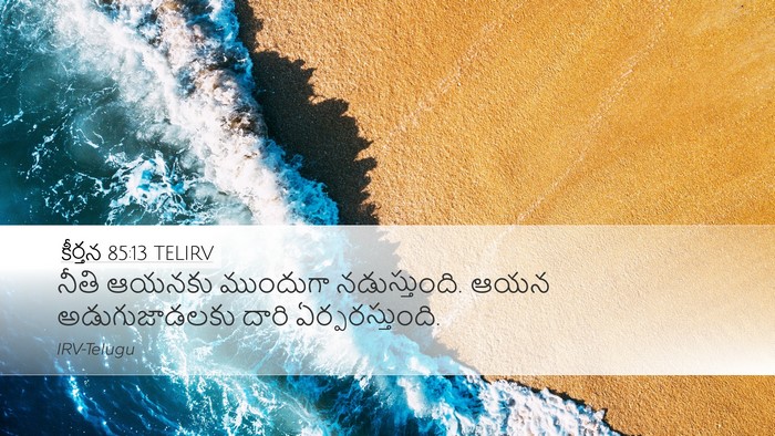 కీర్తన 85:13 TELIRV Desktop Wallpaper - నీతి ఆయనకు - Desktop Bible Verse Wallpaper