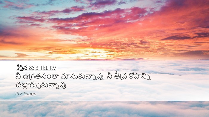 కీర్తన 85:3 TELIRV Desktop Wallpaper - నీ ఉగ్రతనంతా - Desktop Bible Verse Wallpaper