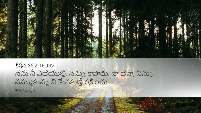 కీర్తన 86:2 TELIRV Desktop Wallpaper - నేను నీ - Desktop Bible Verse Wallpaper