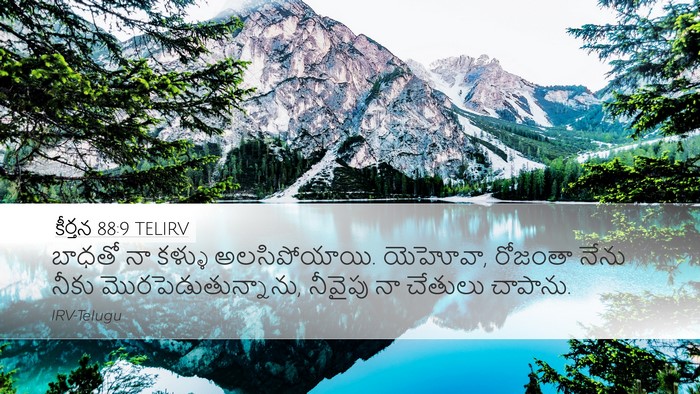 కీర్తన 88:9 TELIRV Bible Verse Image