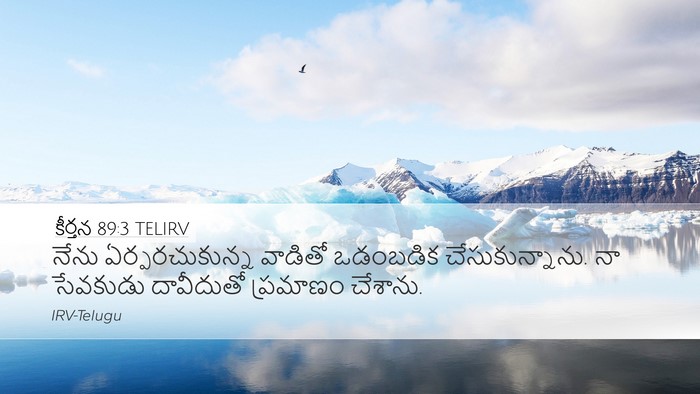 కీర్తన 89:3 TELIRV Bible Verse Image