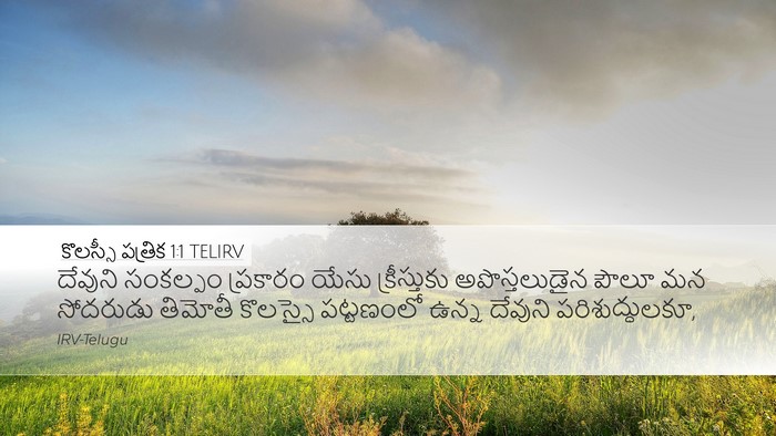 కొలస్సీ పత్రిక 1:1 TELIRV Bible Verse Image