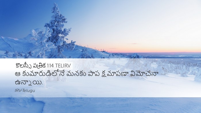 కొలస్సీ పత్రిక 1:14 TELIRV Bible Verse Image