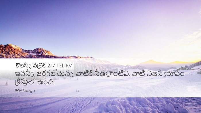 కొలస్సీ పత్రిక 2:17 TELIRV Bible Verse Image