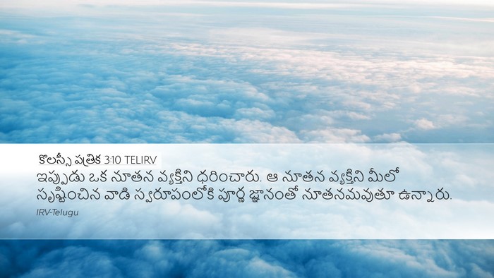 కొలస్సీ పత్రిక 3:10 TELIRV Bible Verse Image