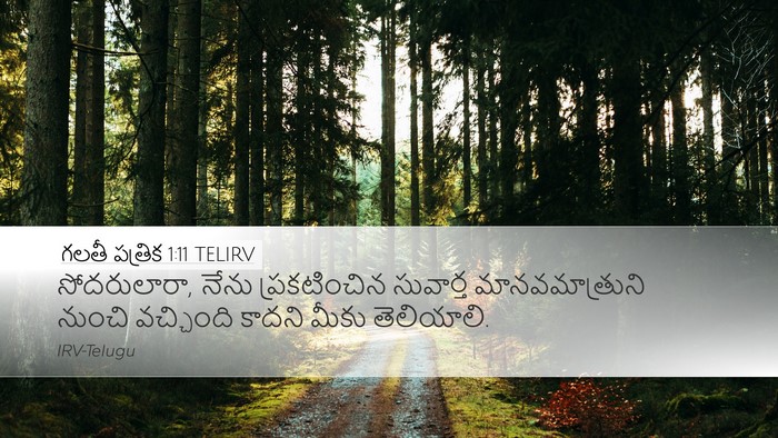 గలతీ పత్రిక 1:11 TELIRV Bible Verse Image