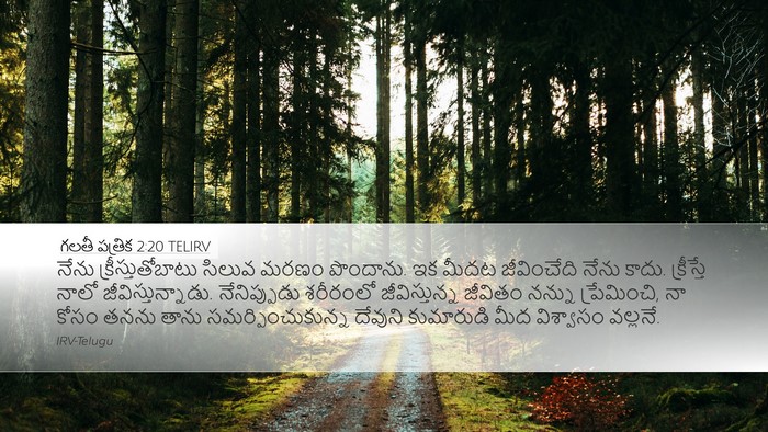 గలతీ పత్రిక 2:20 TELIRV Bible Verse Image