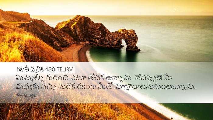 గలతీ పత్రిక 4:20 TELIRV Bible Verse Image