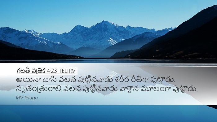 గలతీ పత్రిక 4:23 TELIRV Bible Verse Image