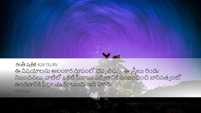 గలతీ పత్రిక 4:24 TELIRV Bible Verse Image