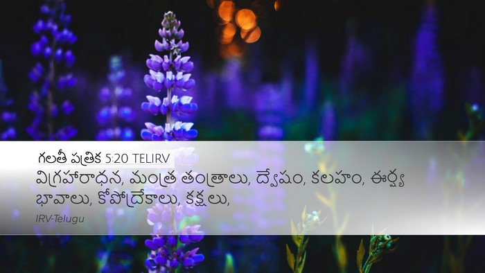 గలతీ పత్రిక 5:20 TELIRV Bible Verse Image