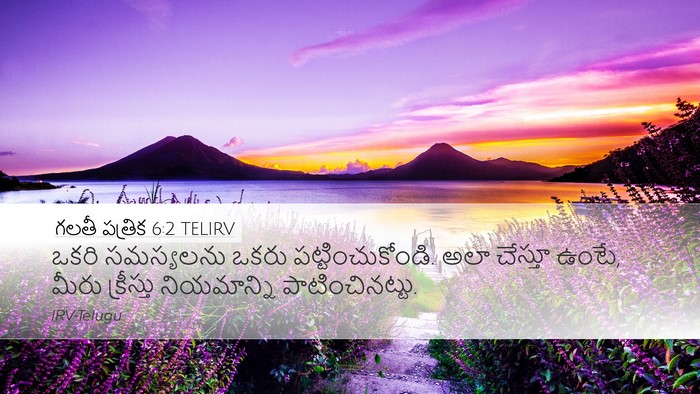గలతీ పత్రిక 6:2 TELIRV Bible Verse Image