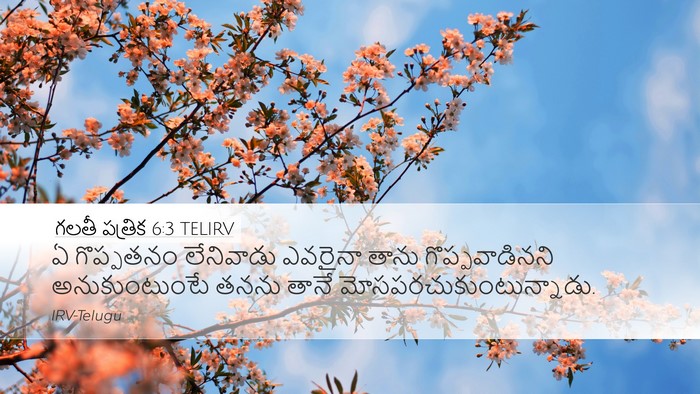గలతీ పత్రిక 6:3 TELIRV Bible Verse Image