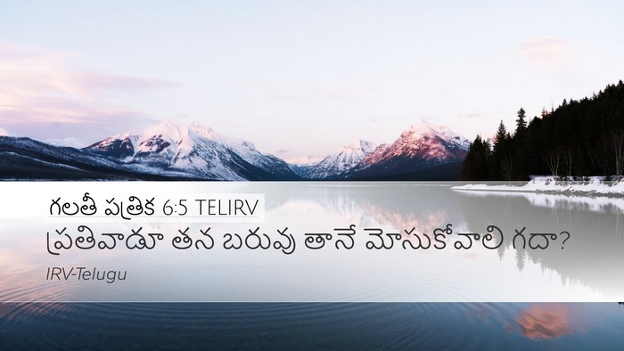 గలతీ పత్రిక 6:5 TELIRV Bible Verse Image