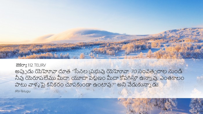 జెకర్యా 1:12 TELIRV Bible Verse Image