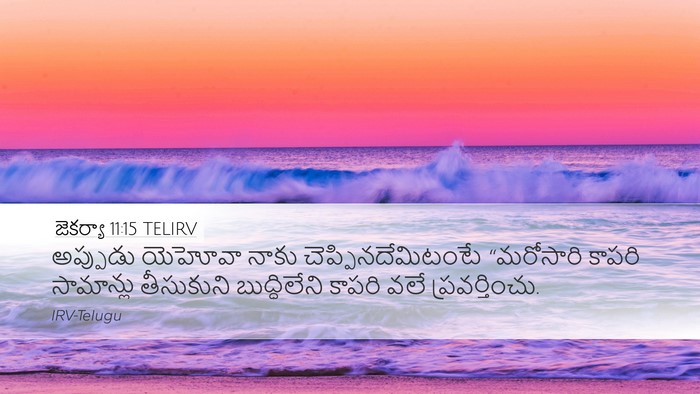 జెకర్యా 11:15 TELIRV Bible Verse Image