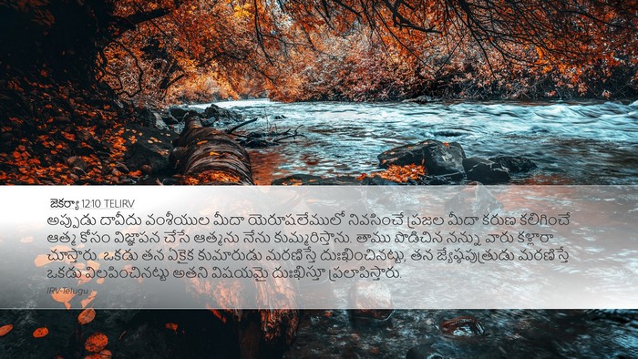 జెకర్యా 12:10 TELIRV Bible Verse Image
