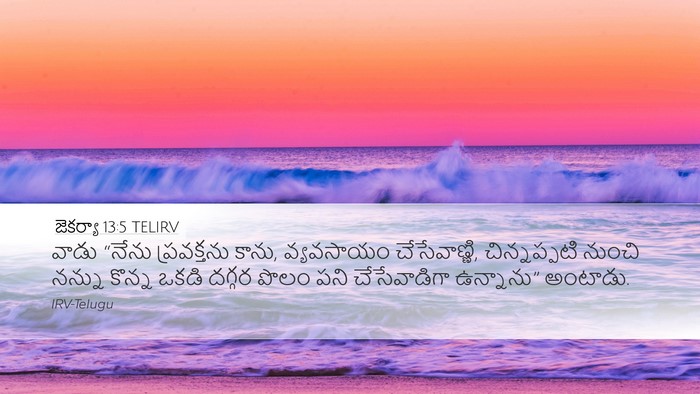 జెకర్యా 13:5 TELIRV Desktop Wallpaper - వాడు “నేను - Desktop Bible Verse Wallpaper