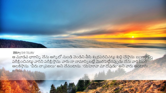 జెకర్యా 13:9 TELIRV Bible Verse Image